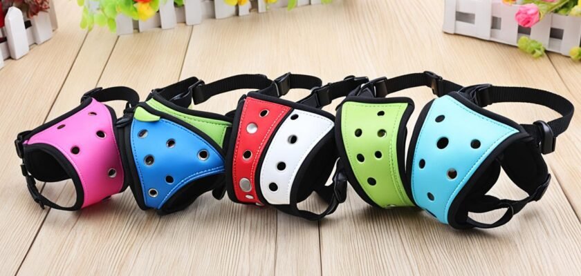 Guía para Comprar Bozal para Perro en AliExpress México